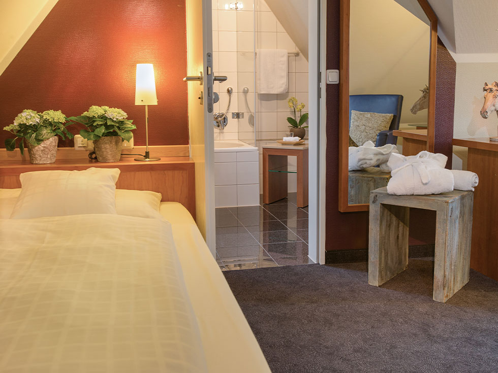 Einzelzimmer2 Seehotel Niedernberg