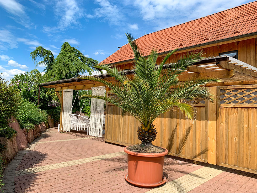 Wolke 7 Terrasse palme Seehotel Niedernberg