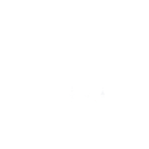 Rheinmainflug.de