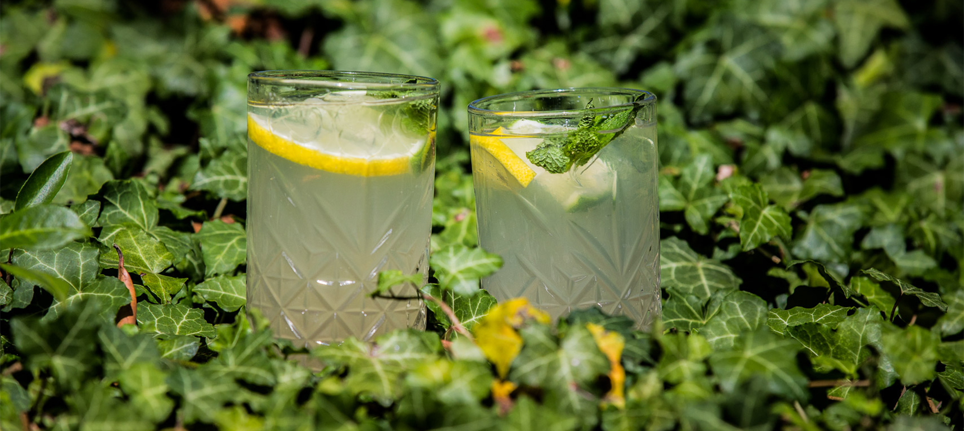 Sommerlimonade