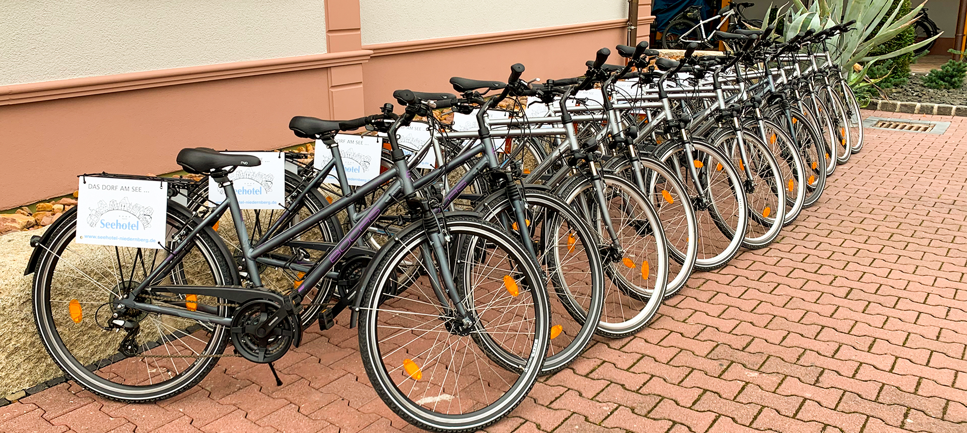 Bicycle rental