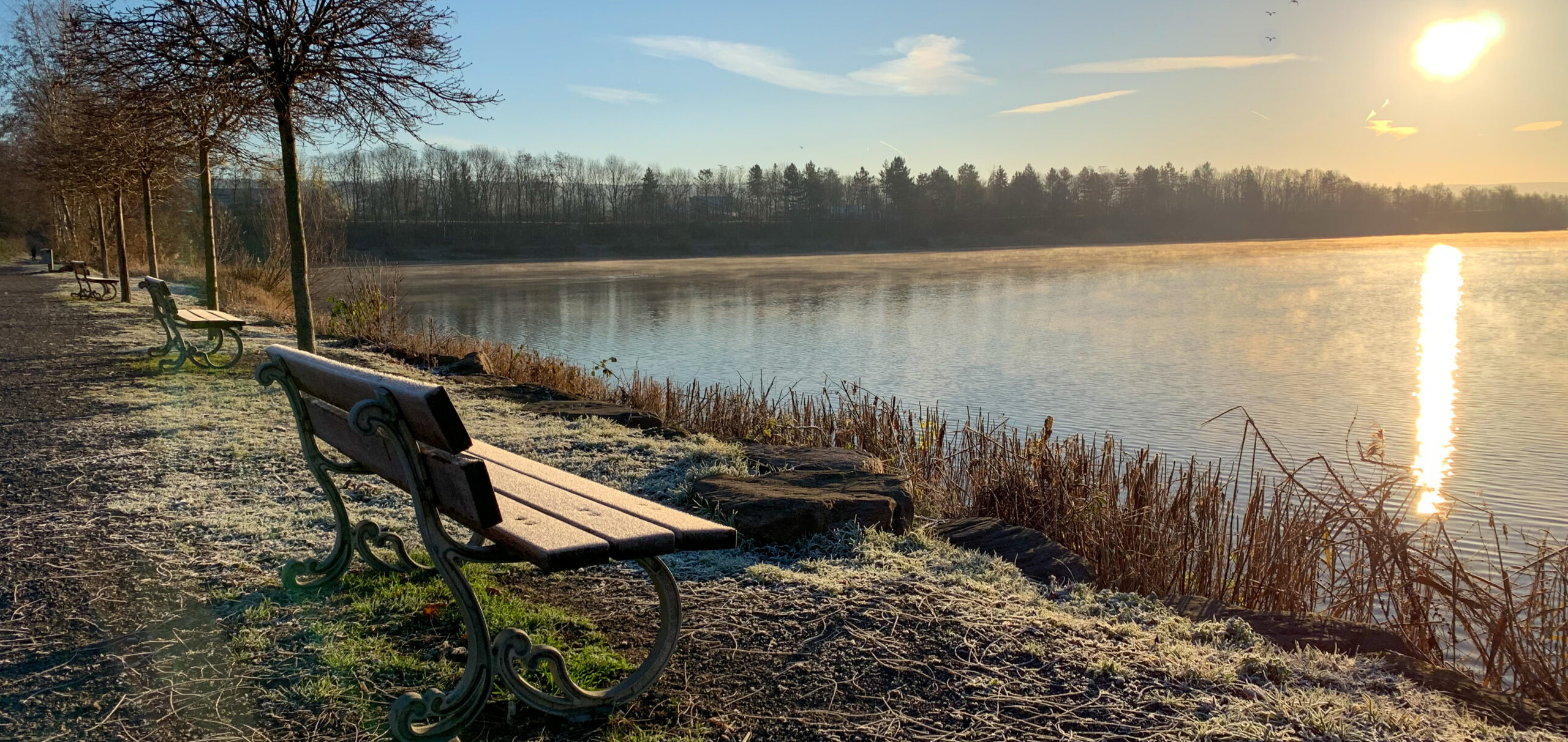Winterspaziergang am See