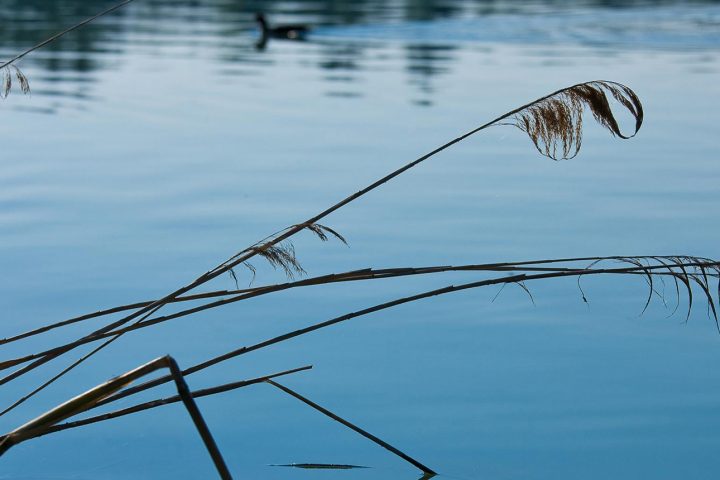 Aerobica in acqua