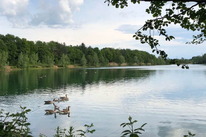 Vacation time at the lake