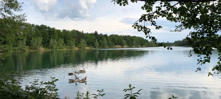 VACACIONES EN EL LAGO